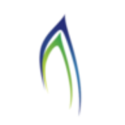Ghana National Gas Company logo